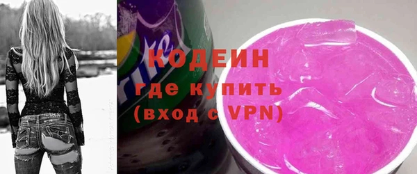 индика Кулебаки