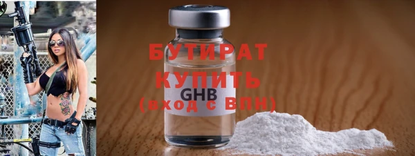 индика Кулебаки