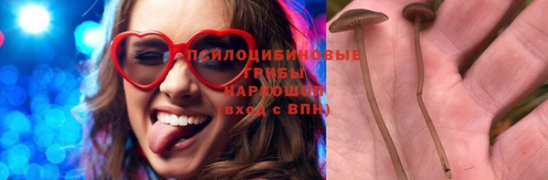 твердый Куйбышев