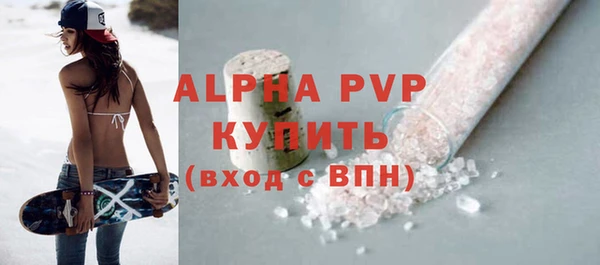 индика Кулебаки