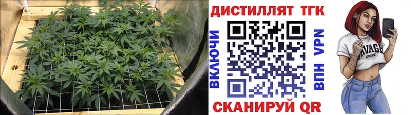 Дистиллят ТГК концентрат  Купить  Бронницы 